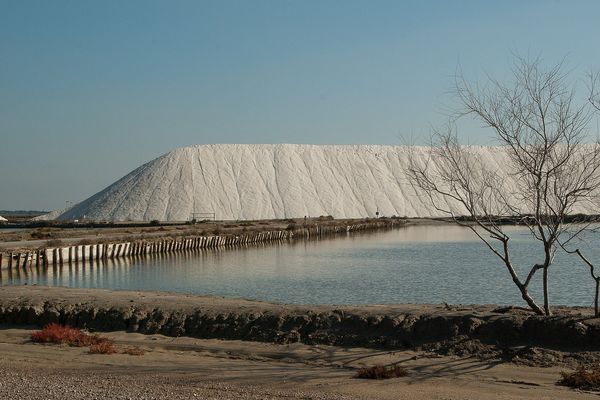 Les paysages de Camargue ont connu de nombreuses transformations, toutes présentes dans les mémoires des plus anciens. C'est ce que veut mettre à l'honneur l'exposition "Paysages intimes". 