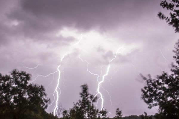 Trop d’eau, trop d’humidité, pas assez de soleil. La météo du mois de mai commence à produire des effets néfastes sur les cultures. Près de Clermont-Ferrand, les maraîchers commencent à constater les dégâts sur leur production.