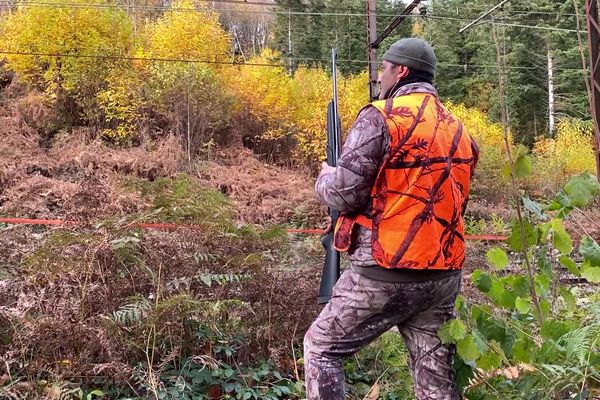 En accord avec la SNCF, des chasseurs traquaient des sangliers près des voies ferrées de Haute-Vienne