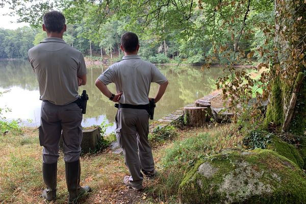 Des agents de l'OFB constatent que la sécheresse et peut-être des incivilités ont causé la mort de nombreux poissons dans un étang de Haute-Vienne lors de la canicule de l'été 2020.