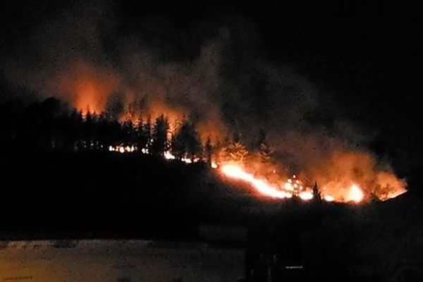 Gard : un incendie détruit 3 hectares de forêt à Beauvoisin - 11 août 2019.