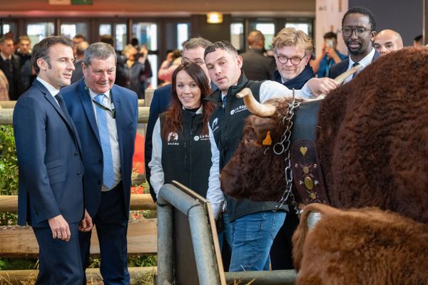 Emmanuel Macron a passé 12h au salon de l'agriculture samedi 25 février 2023.