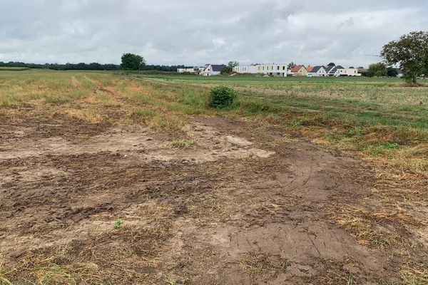 Plus de dix jours après l'épandage, il reste des plaques bien visibles d'effluents au sol.