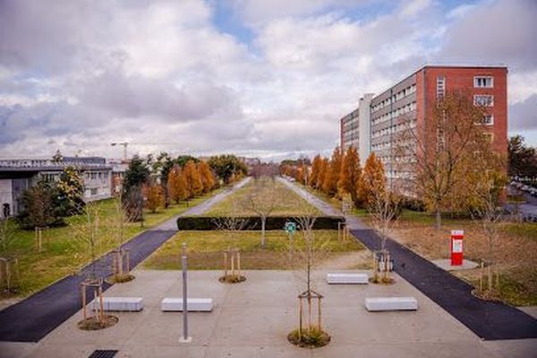 Les étudiants de l'Insa sont sommés de rentrer chez eux pour 15 jours et de réfléchir à leur comportement.