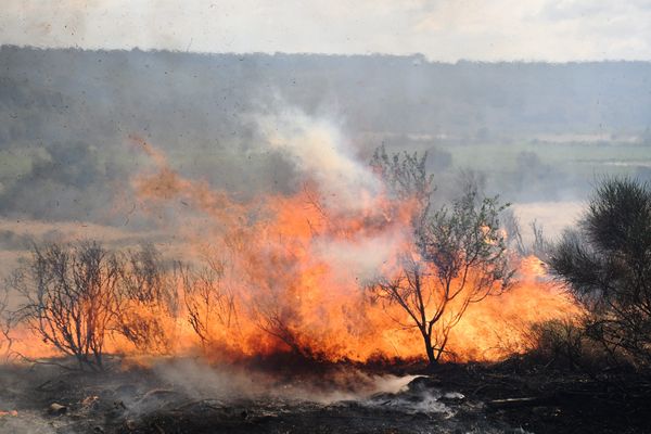 Incendie dans l'Aude-Illustration