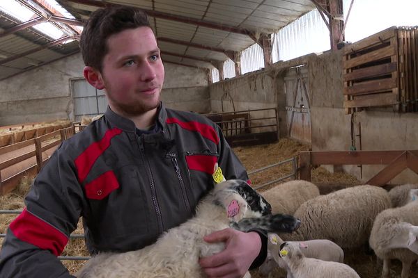 Au salon de l'agriculture, une quarantaine de candidats seront en lice pour décrocher le titre de meilleur jeune berger de France.