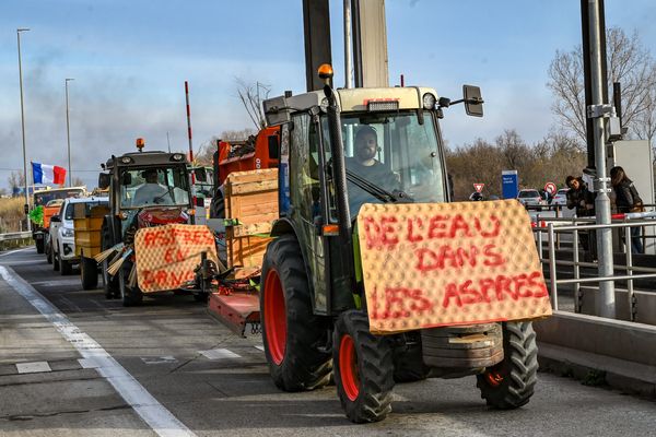 Depuis les manifestations de janvier et février 2024, la détresse et la colère ne retombent pas dans le monde agricole des Pyrénées-Orientales.