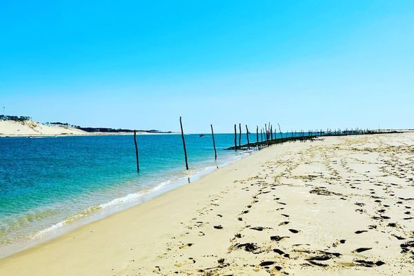 Il va faire beau sur les côtes aquitaine (Banc d'Arguin)