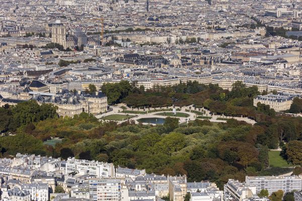 "Paris est une ville très dense, très minérale et carencée en espaces verts", explique Christian Thibault, directeur du département environnement de l'Institut Paris région.