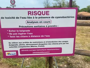 Les analyses du département révèlent un niveau de toxicité inquiétant dans le lac du Salagou, en août 2024.