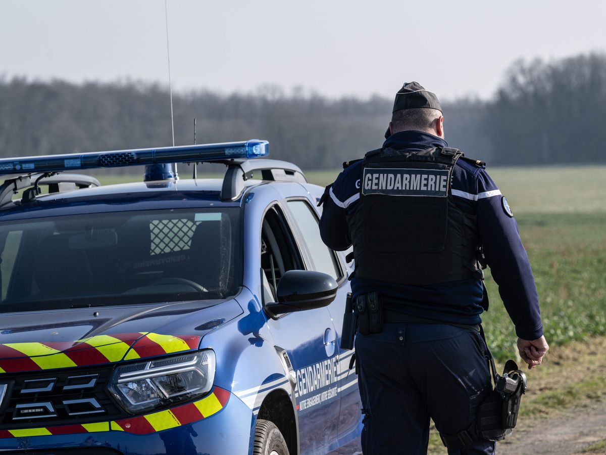 Haut-Rhin. Des nouvelles voitures pour les gendarmes et policiers