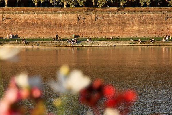 Promenade le long de la Garonne à Toulouse