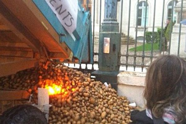 Lâcher de pommes de terre par les agriculteurs devant la préfecture à Nîmes mercredi 24 septembre 2014