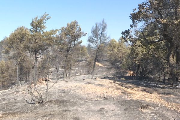 L'incendie désormais fixé a parcouru 210 hectares sur la commune de Niozelles (04)