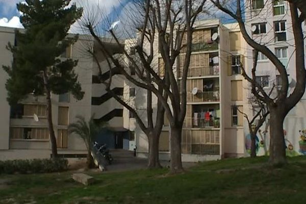 La préfecture des Bouches-du-Rhône a signé un arrêté de mise en demeure à l'encontre des bailleurs sociaux et du syndic de la cité Air-Bel pour mettre fin au risque d'exposition aux légionelles