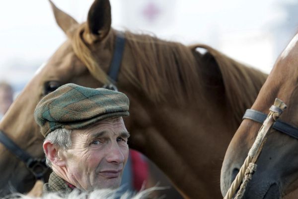 Depuis des siècles, les éleveurs normands vendent leurs chevaux à la foire de Lessay.