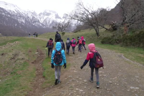 Les écoliers pyrénéens découvrent les montagnes d'Auvergne.