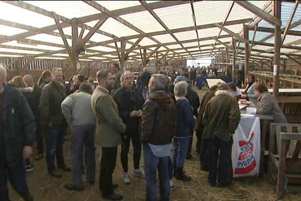 Près de 500 personnes sont venues visiter la bergerie de Vains ce dimanche