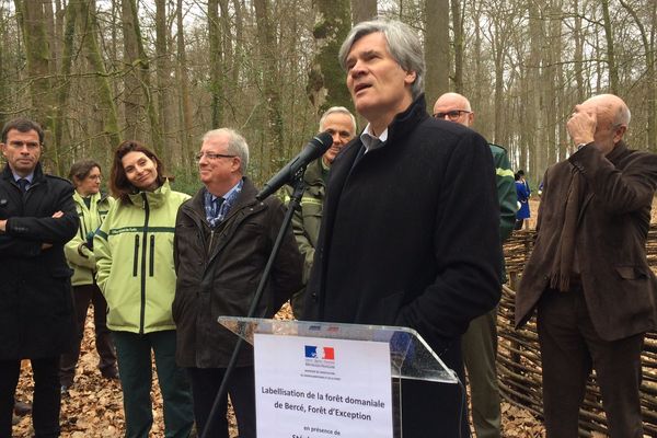 En forêt de Bercé, le ministre de l'Agriculture et des Forêts Stéphane Le Foll remet le label Forêt d'exception ce samedi 18 mars 2017.