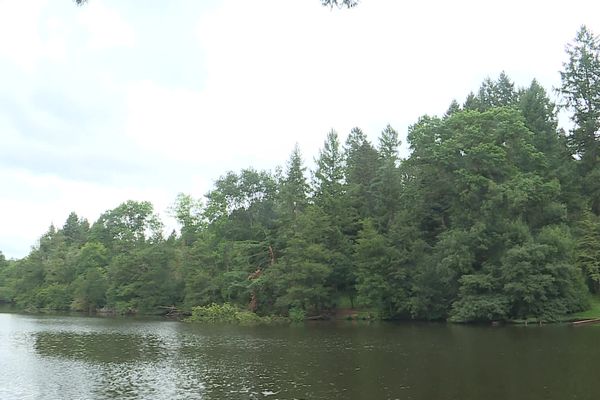 L'arboretum de Pézanin accueille chaque année 20 000 visiteurs.