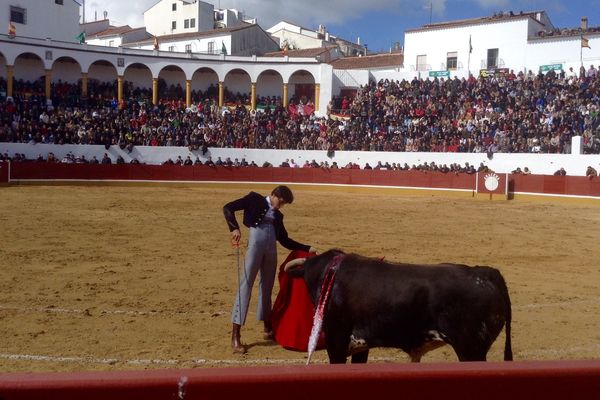 Aracena (Andalousie), 19 février 2017 : Andrés Roca Rey avec un novillo de Manolo González