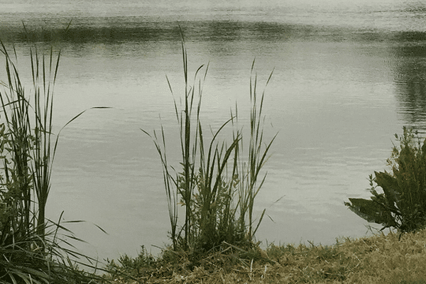 L'eau de l'étang du Parc Saint-Pierre reste impropre à la baignade.