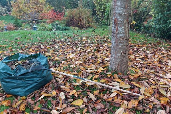 Comment valoriser ses déchets verts pour nourrir son jardin