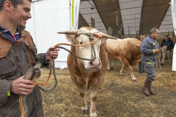 Critiqué par l'association L214, le Sommet de l'élevage se tient près de Clermont-Ferrand du 4 au 7 octobre.