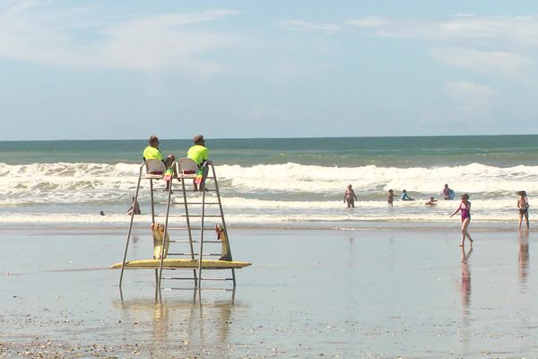 Surveillance des plages