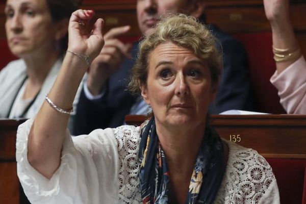 La députée d'Indre-et-Loire Sophie Auconie a jugé "décevant" le texte passé en commission des lois. 