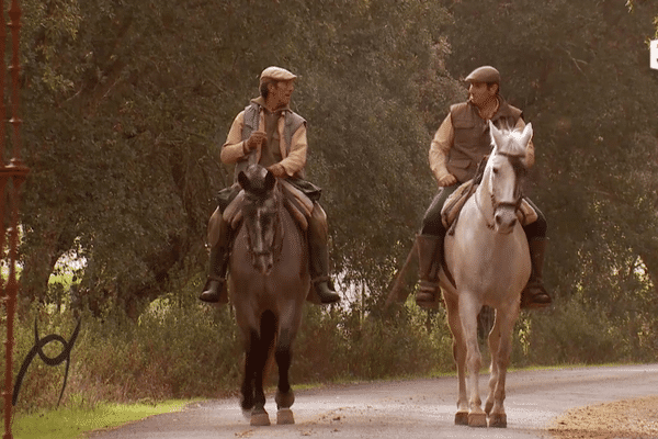 Vivre à Madrid? J'y serais comme un canari en cage. Luis, vacher à Dehesa Frías, dans Signes du toro n° 104.