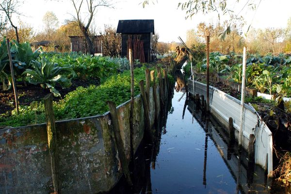 Week End De Vandalisme Dans Les Marais De Bourges