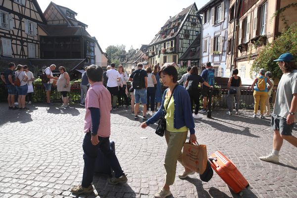 Le mois de février a battu des records de température en Alsace.