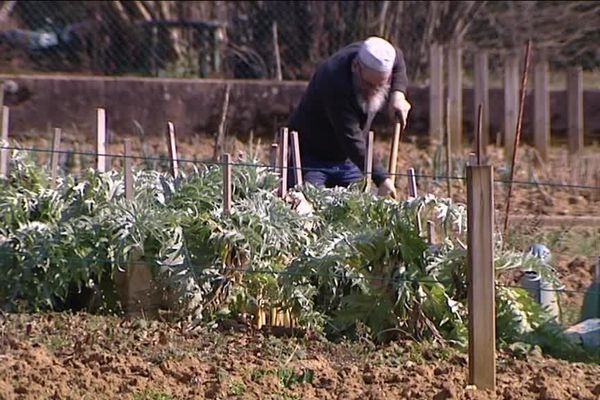 Le retour au jardin... enfin ! 