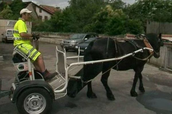 300 kg de cartons sont collectés chaque semaine