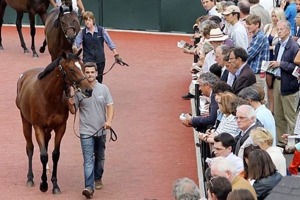 Vente de yearlings à Deauville (archive)