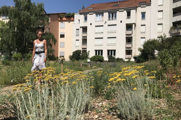 Avec l'aide d'un paysagiste spécialisé Nathalie Martin a contribué à transformer un toît de parking en havre de paix 