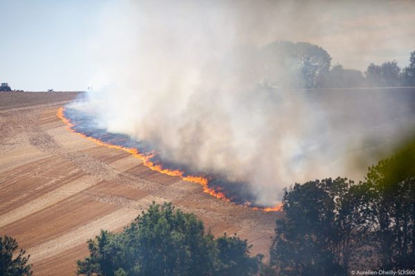 L'incendie s'est propagé sur une surface de 12 hectares en bordure du village du Mesnil-Théribus