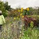 Jardin ouvrier à La Riche en Indre-et-Loire