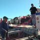 Mickaël Chiajese, pêcheur petit métier, espérait installer son bateau au port de Banyuls-sur-Mer et vendre son poisson aux côtés des pêcheurs en activité.