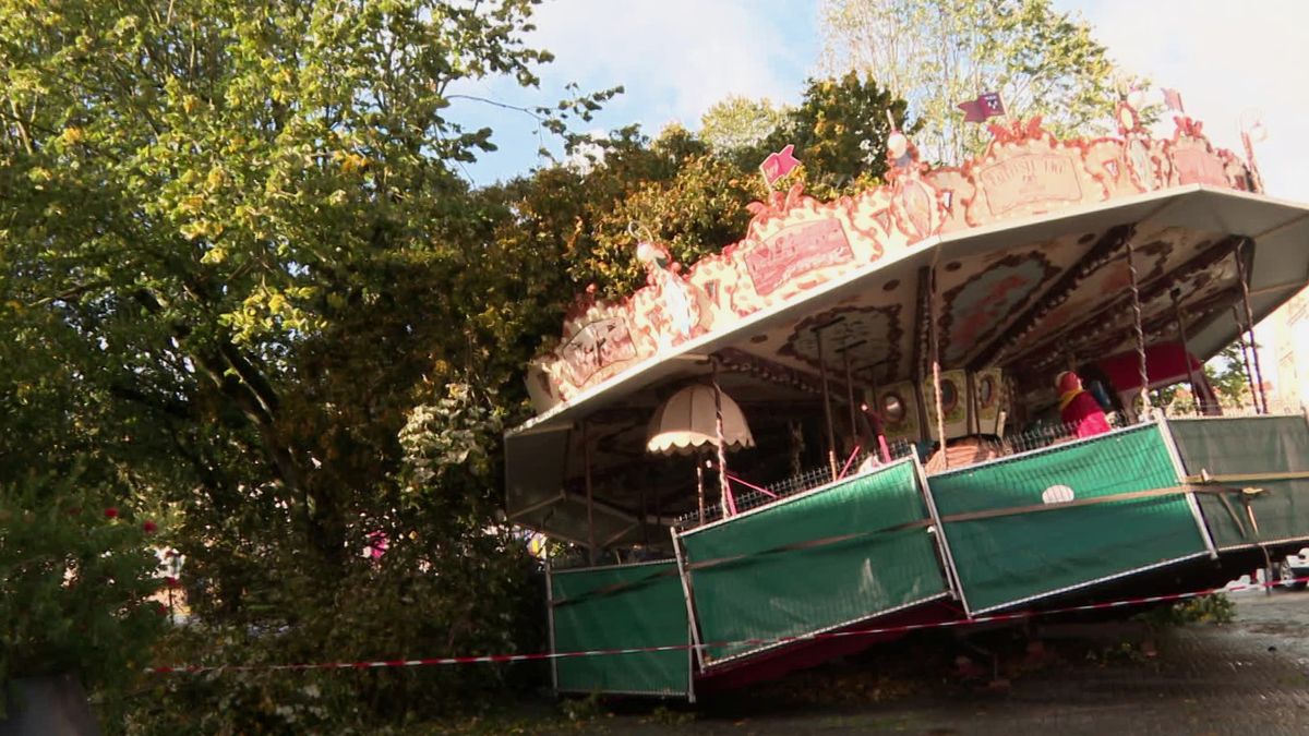 Tempête Domingos. Cest impressionnant ! : à Rochefort, le carrousel  écrasé par un arbre