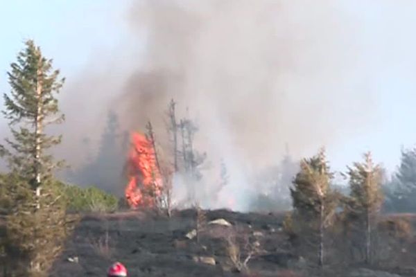 Les pompiers du Haut-Rhin et des Vosges sont à l'oeuvre pour tenter de stopper l'incendie à Orbey