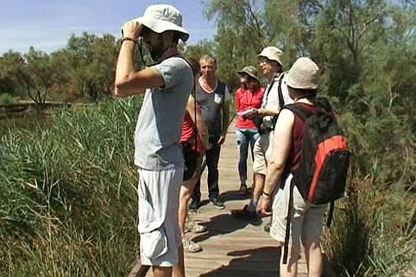 Les chercheurs venus du monde entier ont découvert la biodiversité de la Camargue. Août 2015.