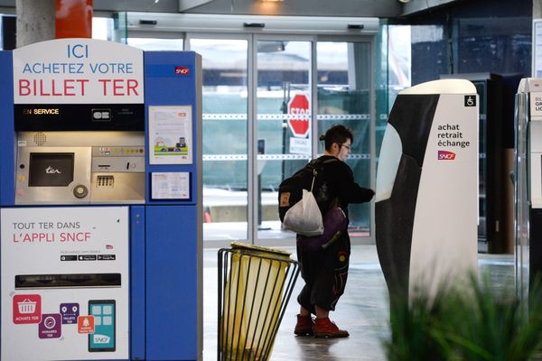 La plupart des trains impactés par les suppressions concernent des liaisons ferroviaires avec la ville de Nantes (Loire-Atlantique).