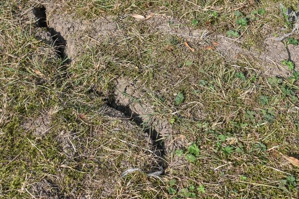 En Aveyron, la préfecture maintient la plupart des restrictions concernant les usages de l'eau, elle passe même en "crise" le bassin Lot aval (Riou mort).