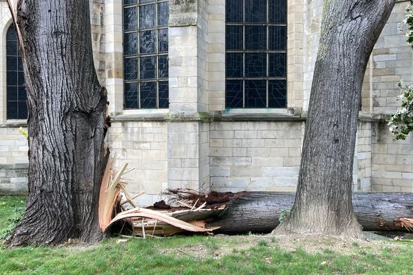 Des vents violents sont annoncés sur la Champagne-Ardenne le week-end du 4 au 5 novembre 2023.