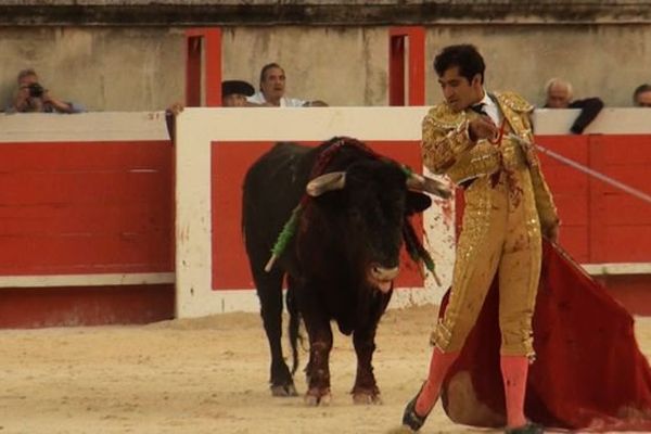 Joselito Adame a fait tout ce qu'il a pu. Sans ses ratés à l'estocade, il aurait même pu couper une oreille. 