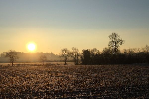 Des gelées matinales et un large soleil au programme de ce week-end