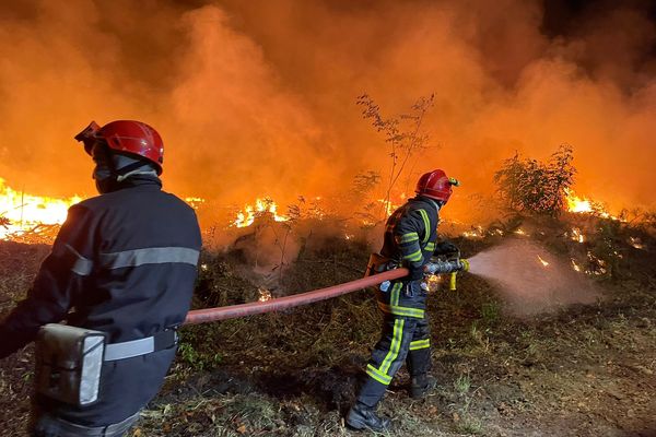 Près de 20 000 hectares de forêt partie en fumée à Landiras après les incendies de l'été 2022