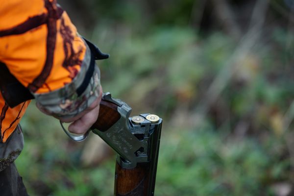 Un homme à vélo a été blessé par un tir d'une arme de chasse vendredi 20 septembre 2024 (image d'illustration).